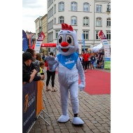 nachtlauf-schwerin-2026-1